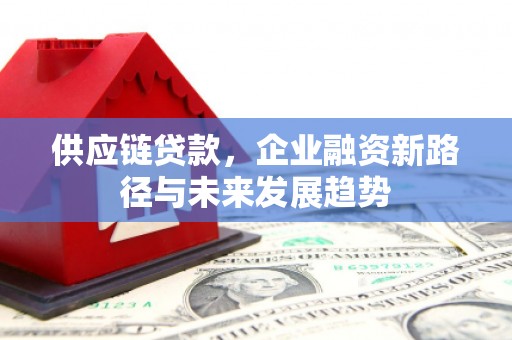 东宝供应链贷款，企业融资新路径与未来发展趋势