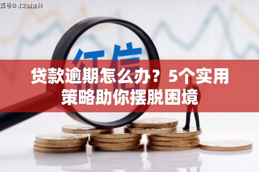 东宝贷款逾期怎么办？5个实用策略助你摆脱困境