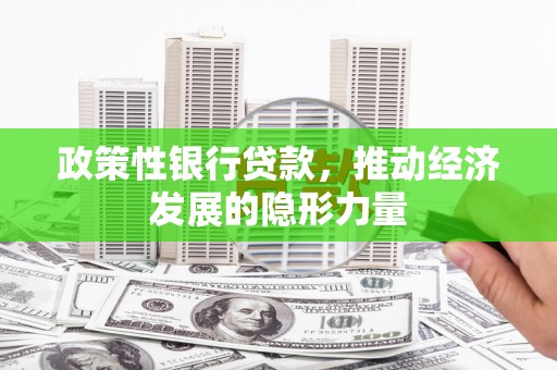 东宝政策性银行贷款，推动经济发展的隐形力量