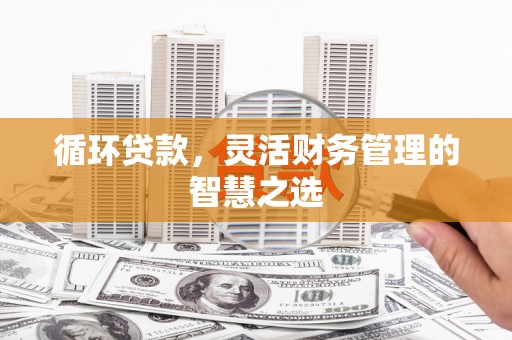 东宝循环贷款，灵活财务管理的智慧之选