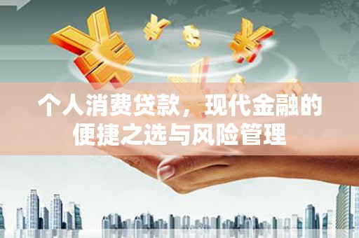东宝个人消费贷款，现代金融的便捷之选与风险管理