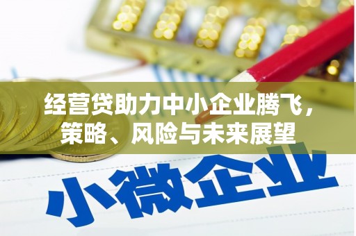 东宝经营贷助力中小企业腾飞，策略、风险与未来展望