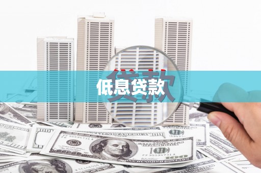 东宝低息贷款