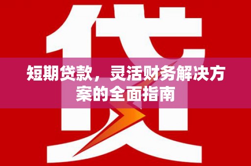 东宝短期贷款，灵活财务解决方案的全面指南