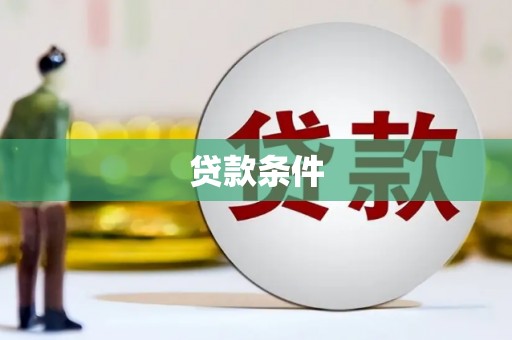 东宝贷款条件