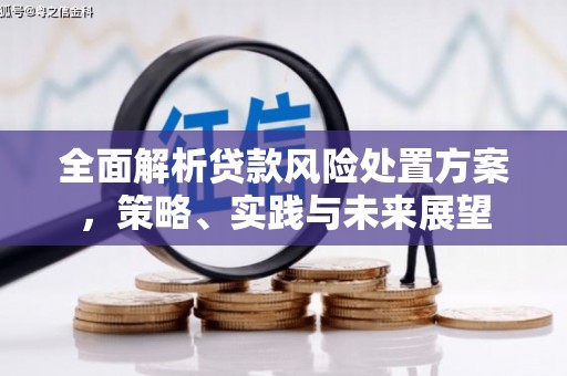 东宝全面解析贷款风险处置方案，策略、实践与未来展望