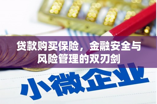 东宝贷款购买保险，金融安全与风险管理的双刃剑