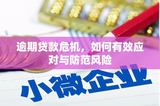 东宝逾期贷款危机，如何有效应对与防范风险