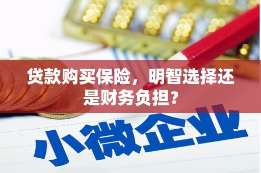 东宝贷款购买保险，明智选择还是财务负担？