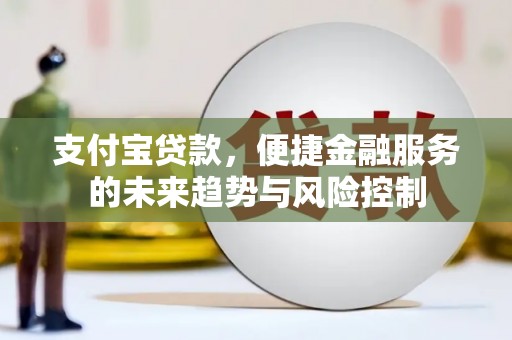 东宝支付宝贷款，便捷金融服务的未来趋势与风险控制