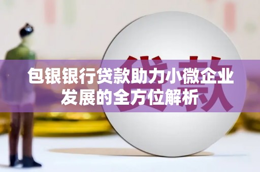 东宝包银银行贷款助力小微企业发展的全方位解析 东宝包银银行贷款助力小微企业发展的全方位解析