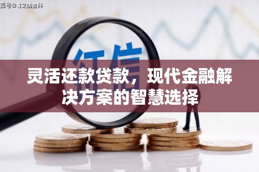 东宝灵活还款贷款，现代金融解决方案的智慧选择