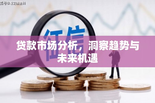东宝贷款市场分析，洞察趋势与未来机遇