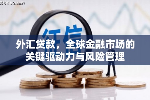 东宝外汇贷款，全球金融市场的关键驱动力与风险管理