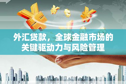 东宝外汇贷款，全球金融市场的关键驱动力与风险管理