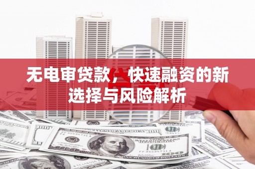 东宝无电审贷款，快速融资的新选择与风险解析