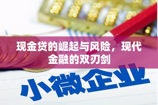 东宝现金贷的崛起与风险，现代金融的双刃剑