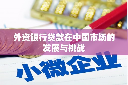 东宝外资银行贷款在中国市场的发展与挑战