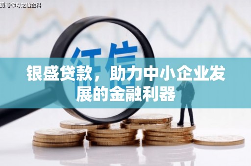 东宝银盛贷款，助力中小企业发展的金融利器