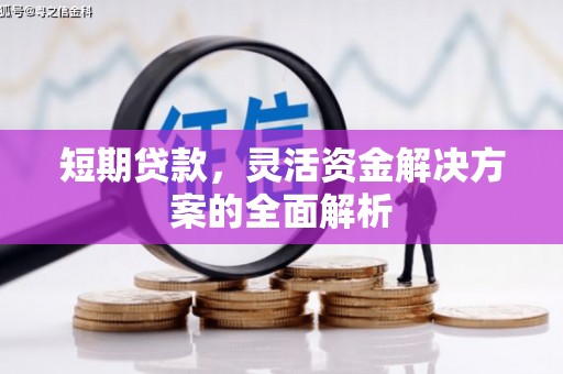 东宝短期贷款，灵活资金解决方案的全面解析