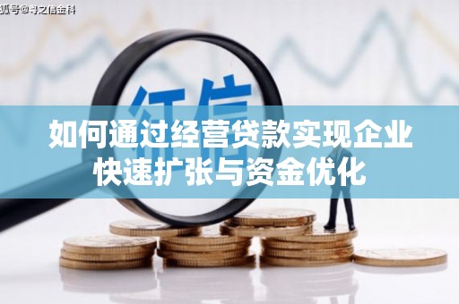 东宝如何通过经营贷款实现企业快速扩张与资金优化