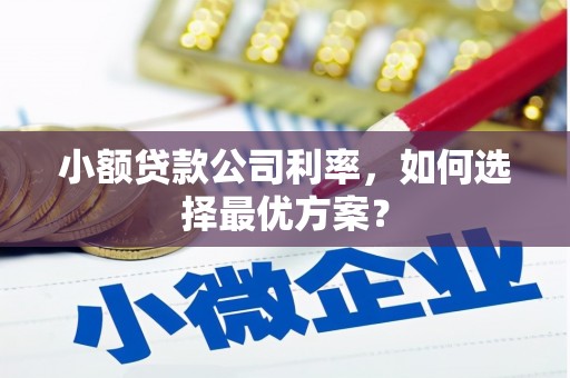东宝小额贷款公司利率，如何选择最优方案？
