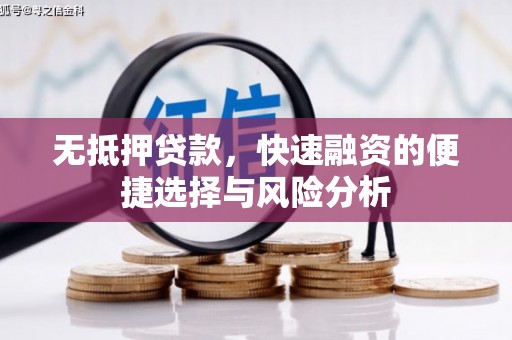 东宝无抵押贷款，快速融资的便捷选择与风险分析