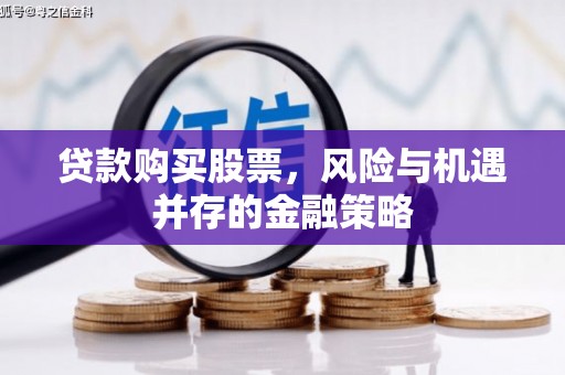 东宝贷款购买股票，风险与机遇并存的金融策略