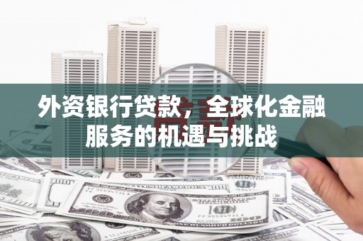 东宝外资银行贷款，全球化金融服务的机遇与挑战