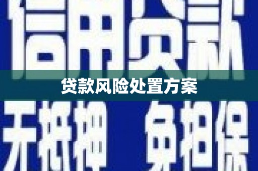 东宝贷款风险处置方案