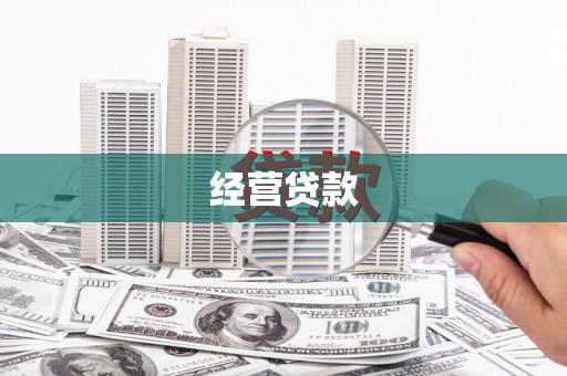 东宝经营贷款