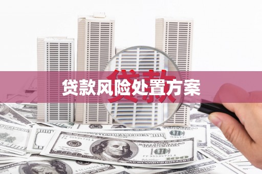 东宝贷款风险处置方案