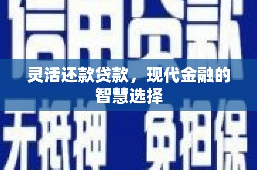 东宝灵活还款贷款，现代金融的智慧选择