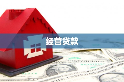东宝经营贷款