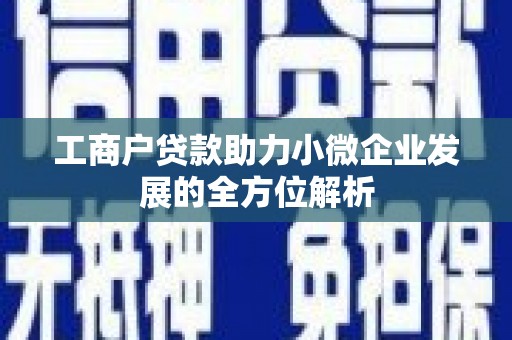 东宝工商户贷款助力小微企业发展的全方位解析