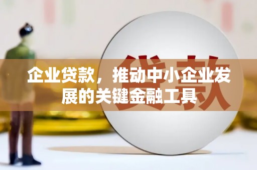 东宝企业贷款，推动中小企业发展的关键金融工具