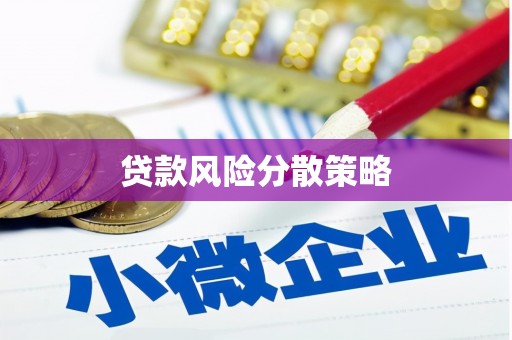 东宝贷款风险分散策略