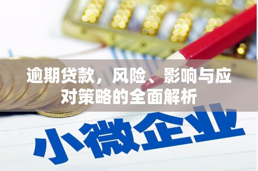 东宝逾期贷款，风险、影响与应对策略的全面解析