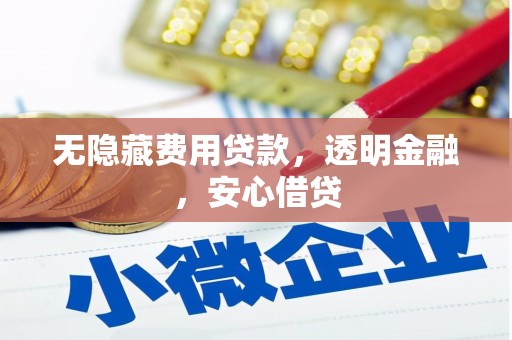 东宝无隐藏费用贷款，透明金融，安心借贷