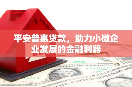 东宝平安普惠贷款，助力小微企业发展的金融利器
