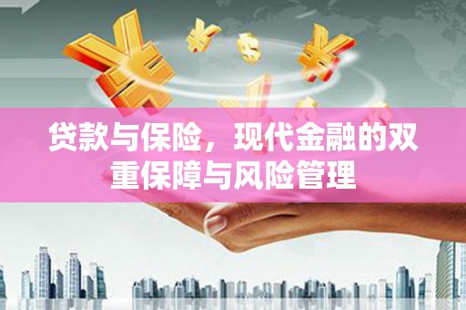 东宝贷款与保险，现代金融的双重保障与风险管理