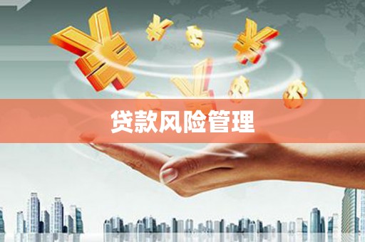 东宝贷款风险管理