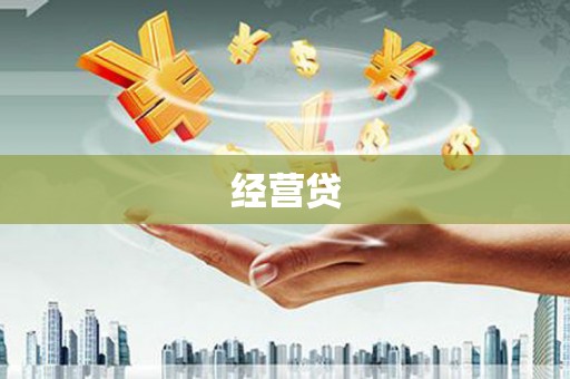 东宝经营贷