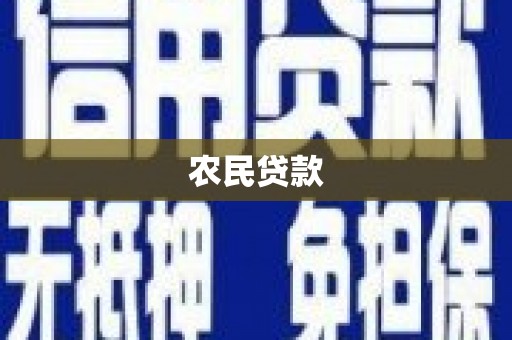 东宝农民贷款