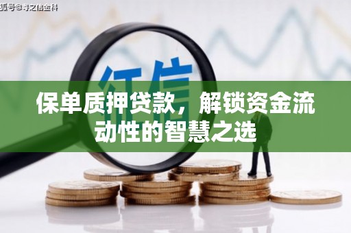 东宝保单质押贷款，解锁资金流动性的智慧之选