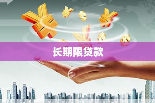 东宝长期限贷款