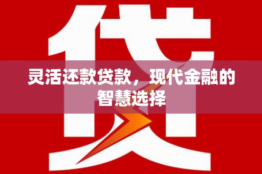 东宝灵活还款贷款，现代金融的智慧选择