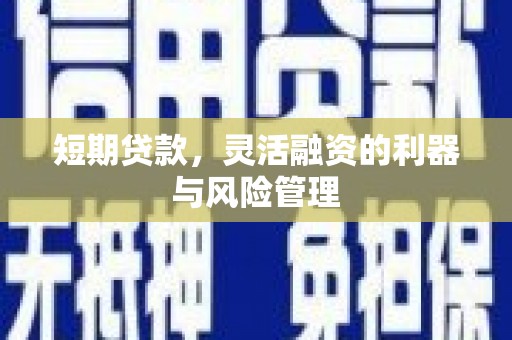 东宝短期贷款，灵活融资的利器与风险管理