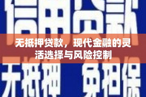 东宝无抵押贷款，现代金融的灵活选择与风险控制