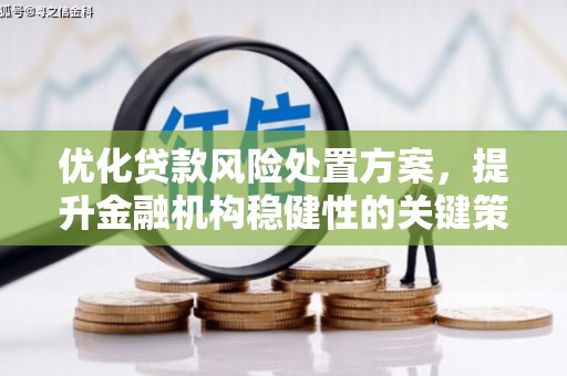 东宝优化贷款风险处置方案，提升金融机构稳健性的关键策略